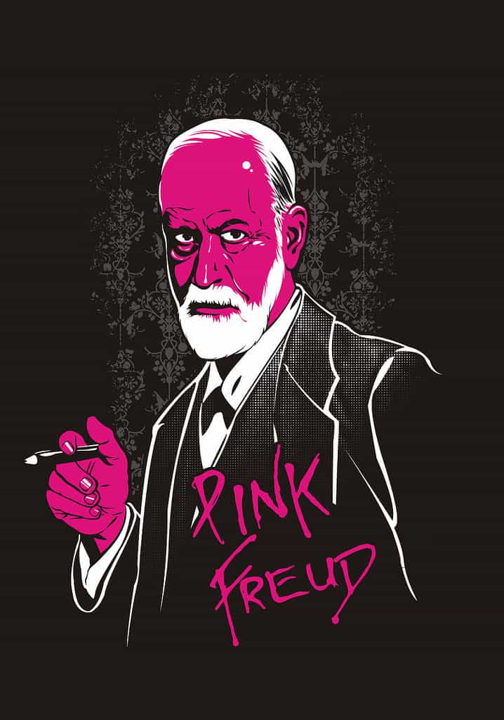 Pink Freud